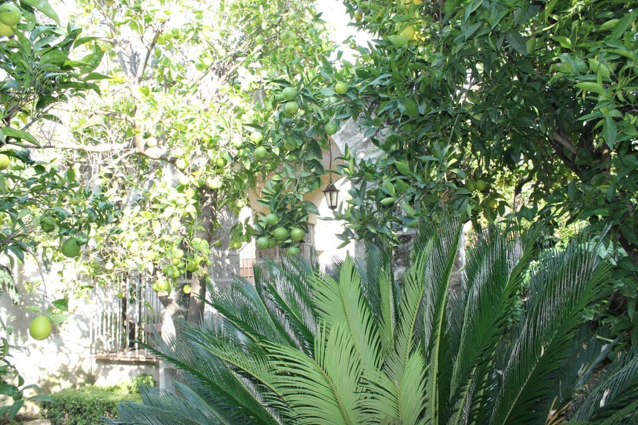 La Lanciolla Apartment Maddaloni Exterior photo